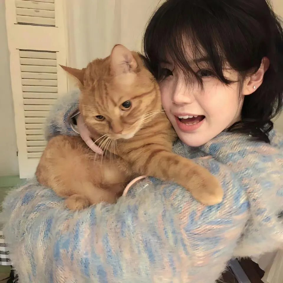 我裙子去哪儿了